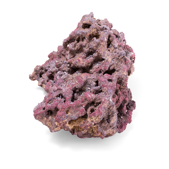 CaribSea Life Rock Original 18,14 kg