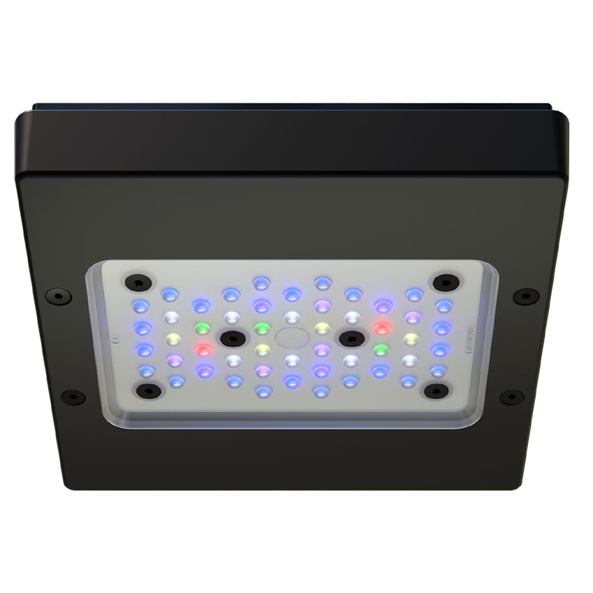 EcoTech Radion XR15 G6