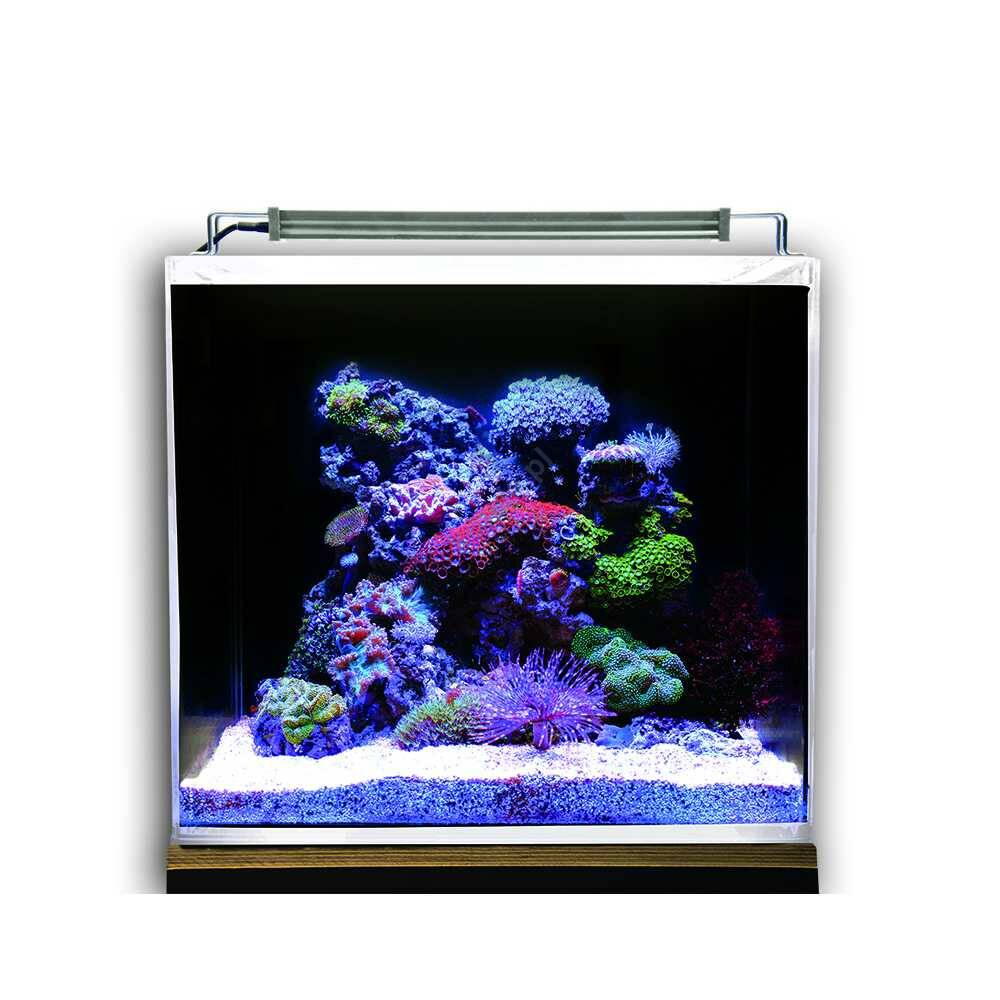 Dupla Ocean Cube Set 80l