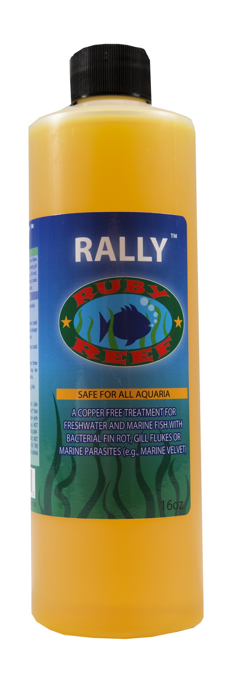 Rally