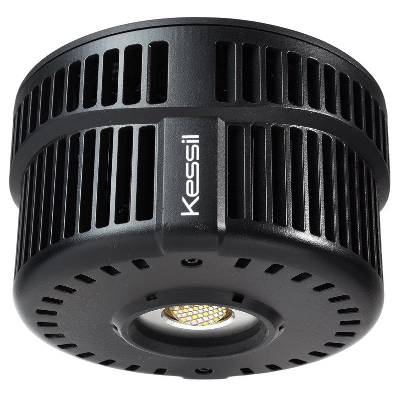 Kessil A500X Tuna Blue