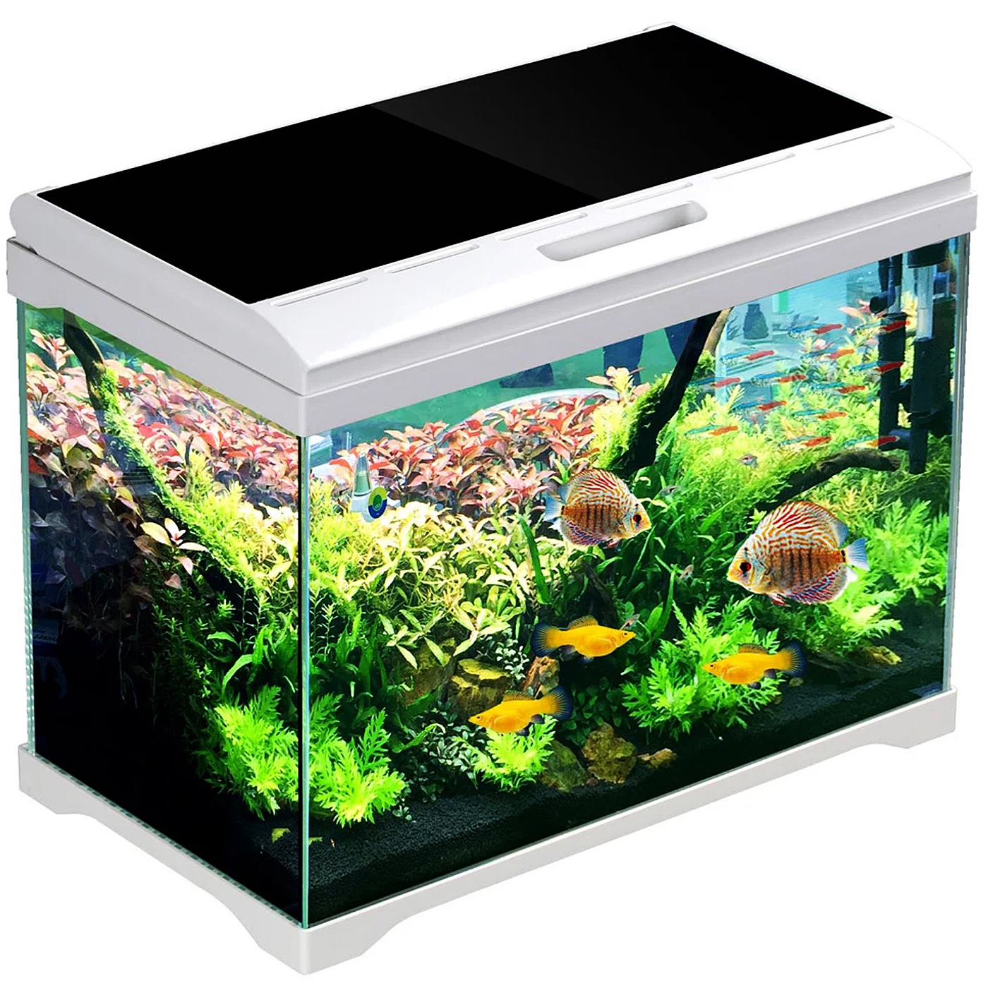 SunSun Supreme AquaPlant - akvarijní set 19 litrů