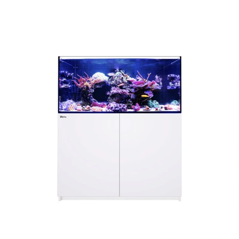 Red Sea REEFER G3 350 White