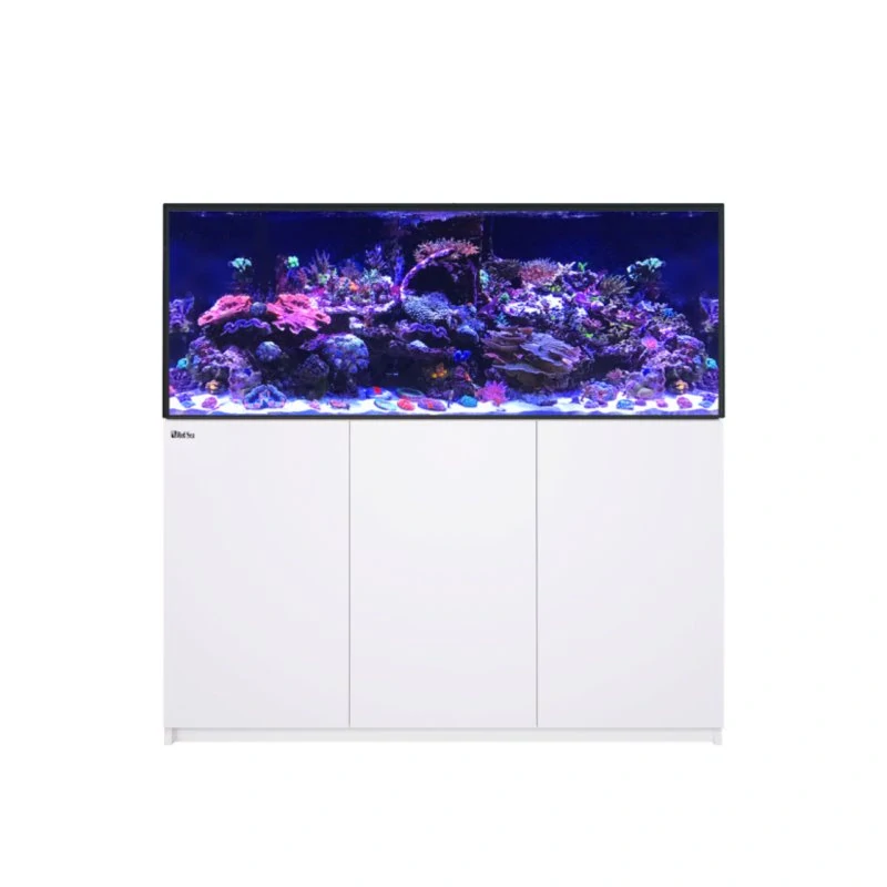 Red Sea REEFER G3 625 White