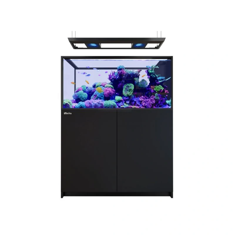 Red Sea Reefer G3 Peninsula 500