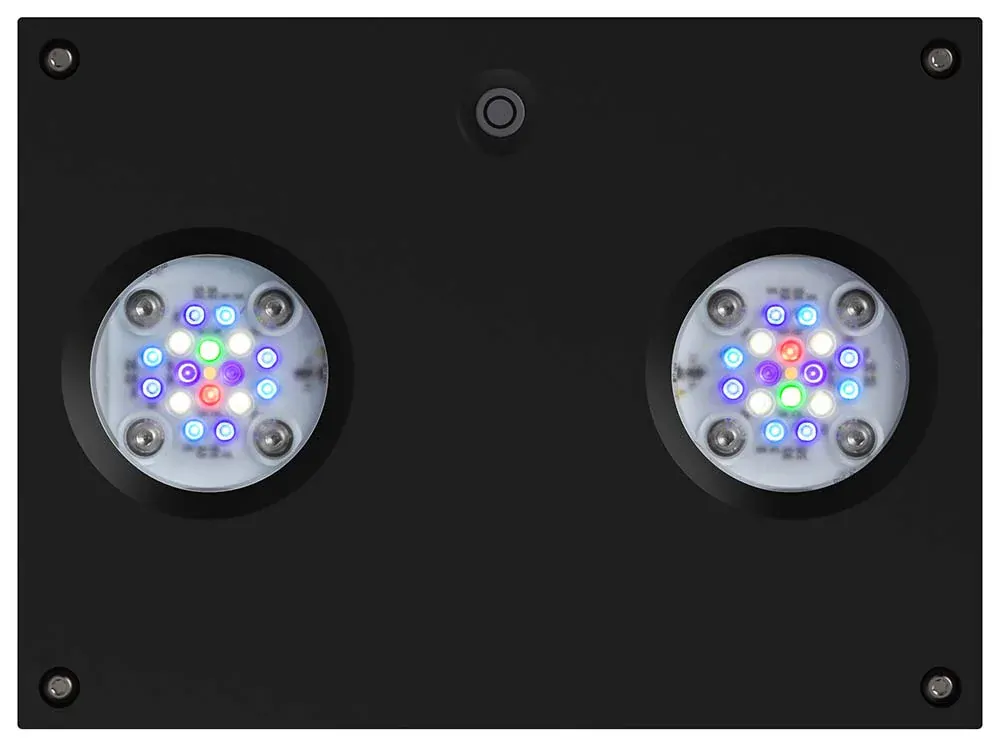 AI Hydra 32 HD černá