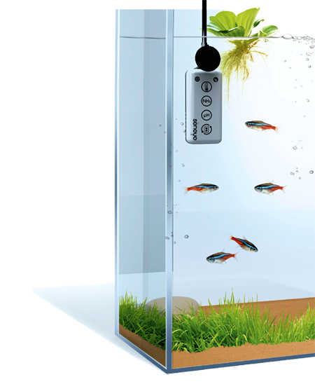 Seneye HOME V2