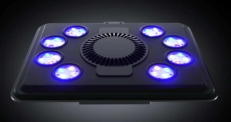 Maxspect Jump MJ-L290 Blue