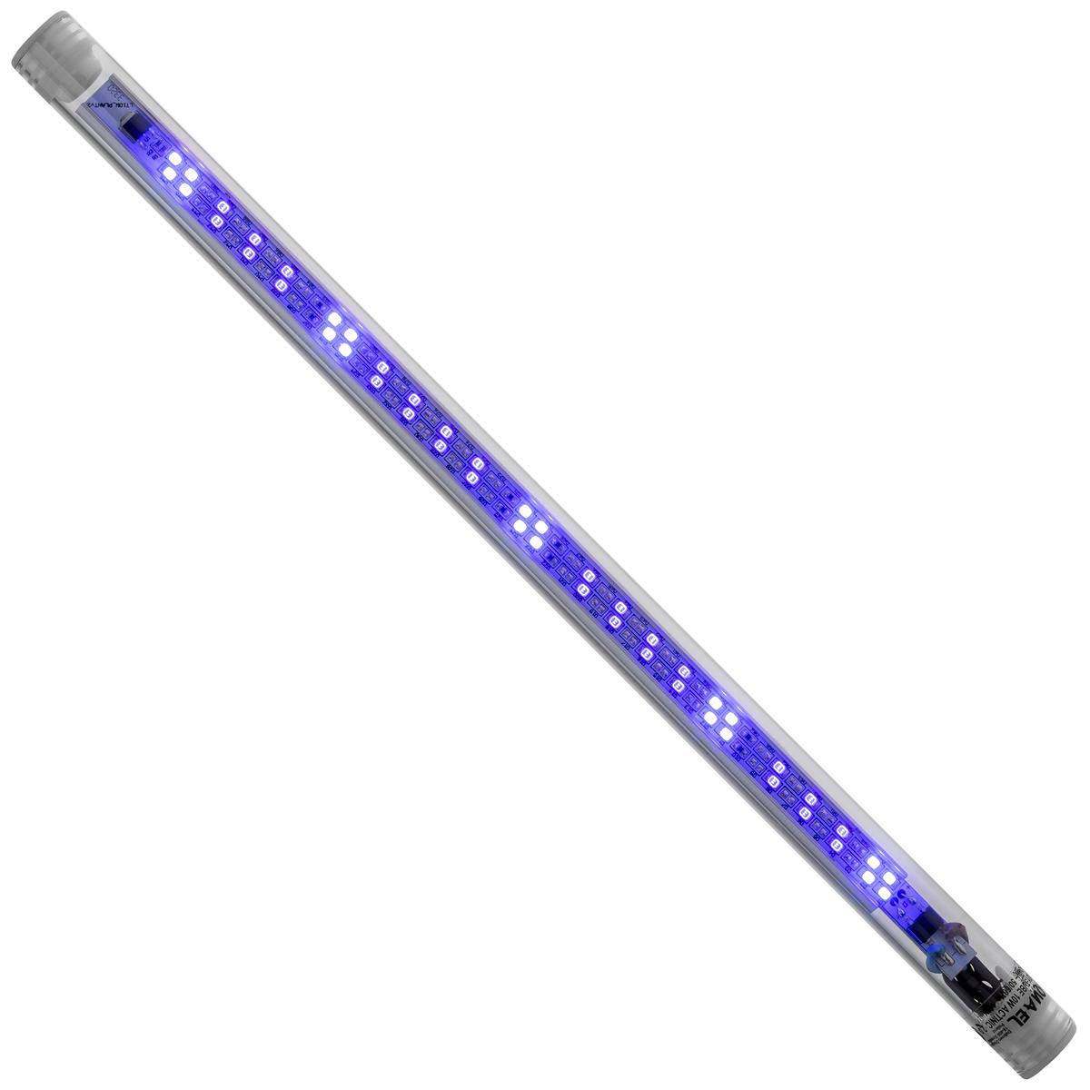 Aquael Leddy Tube 10W Actinic 2.0