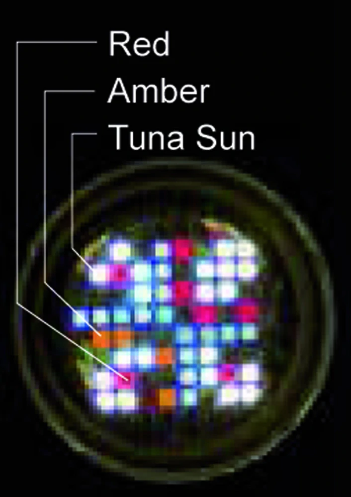 Kessil A360XE Tuna Sun
