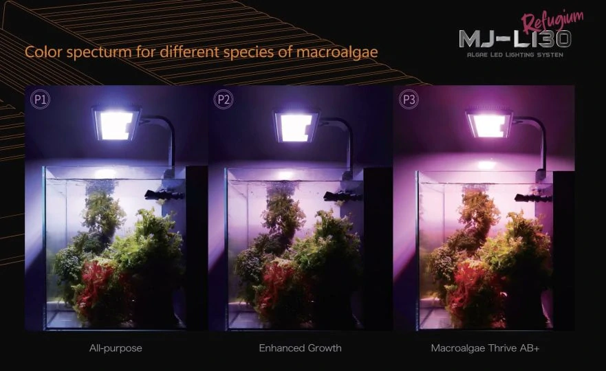 Maxspect Jump MJ-L130 LED - Refugium