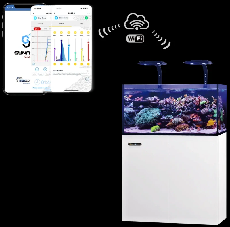 Maxspect Jump MJ-L290 Blue