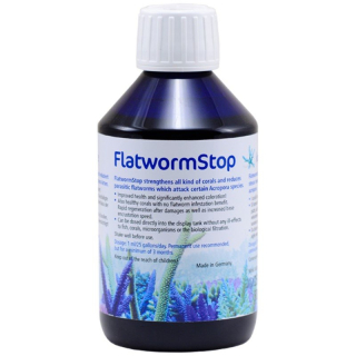 KZ FlatwormStop 500ml