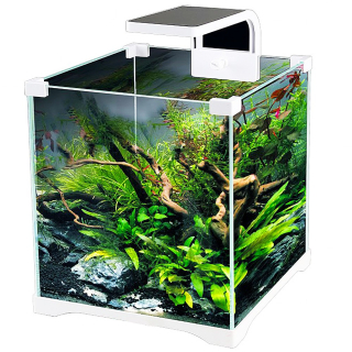 SunSun O!-LED Aqua - 10l akvarijní set