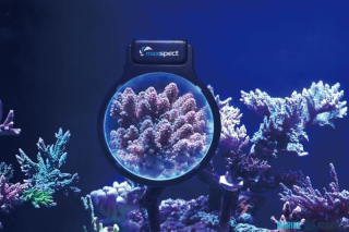 Maxspect Pastel Reef Magnifier