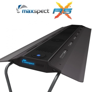 Maxspect RSX R5