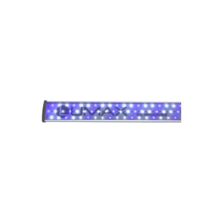 LUMAX LED light WHITE-BLUE 73cm 23W