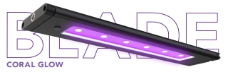 AI BLADE coral GLOW