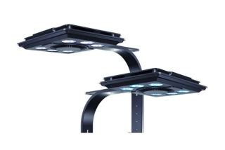 Maxspect Jump MJ-L290 Blue