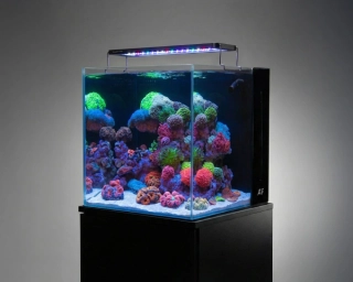 AF NANO tank s LED osvětlením + Startovací sada (90L)