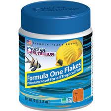 Ocean Nutrition Formula One Flakes 71g